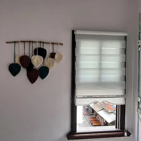 Gaia Art Hostel